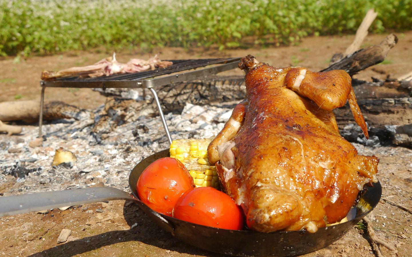 户外美食烹饪,花田间烤鸡,金黄油滋滋的香!