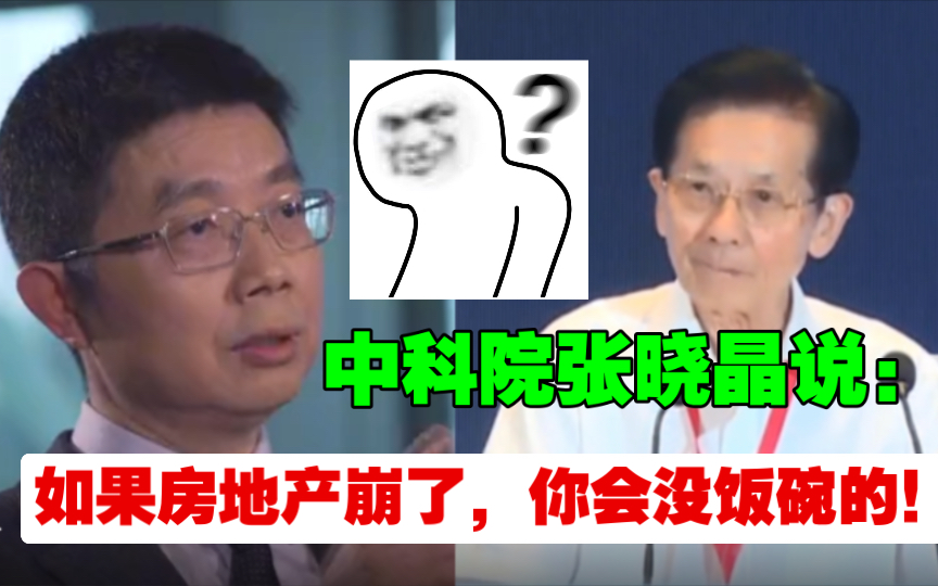 中科院张晓晶:如果房地产价格一直下跌,,你的饭碗会没的!哔哩哔哩bilibili