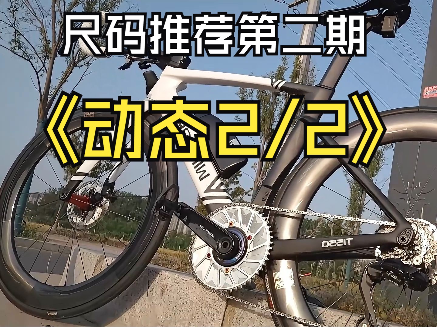 尺码展示第二期:银贝斯t1550