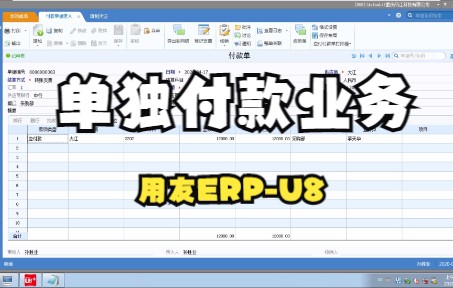 单独付款业务用友erpu8哔哩哔哩bilibili