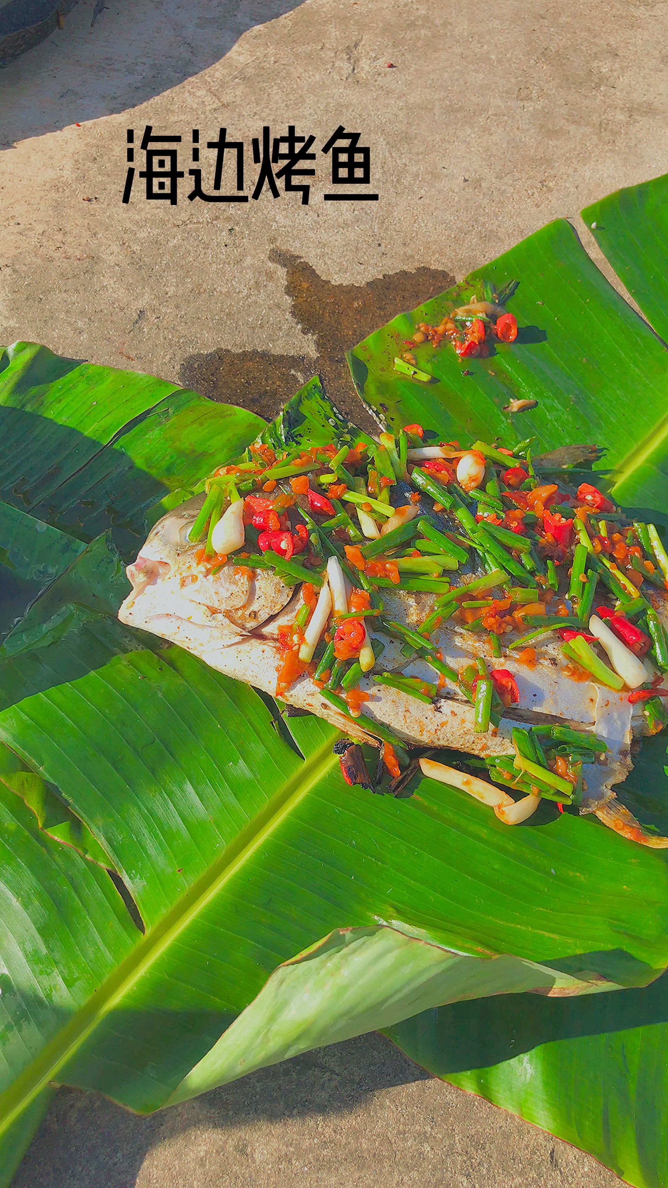 大海配烤鱼_哔哩哔哩_bilibili