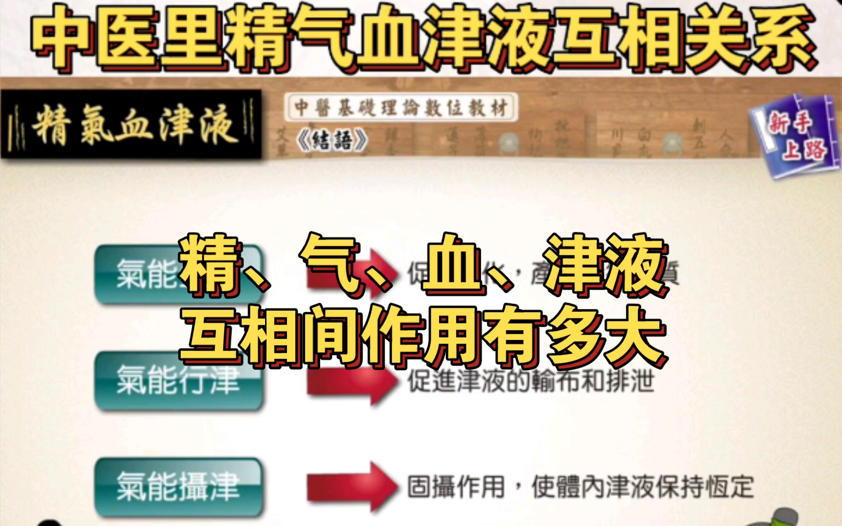 中医基础14:精、气、血、津液之间的关系与互相作用哔哩哔哩bilibili