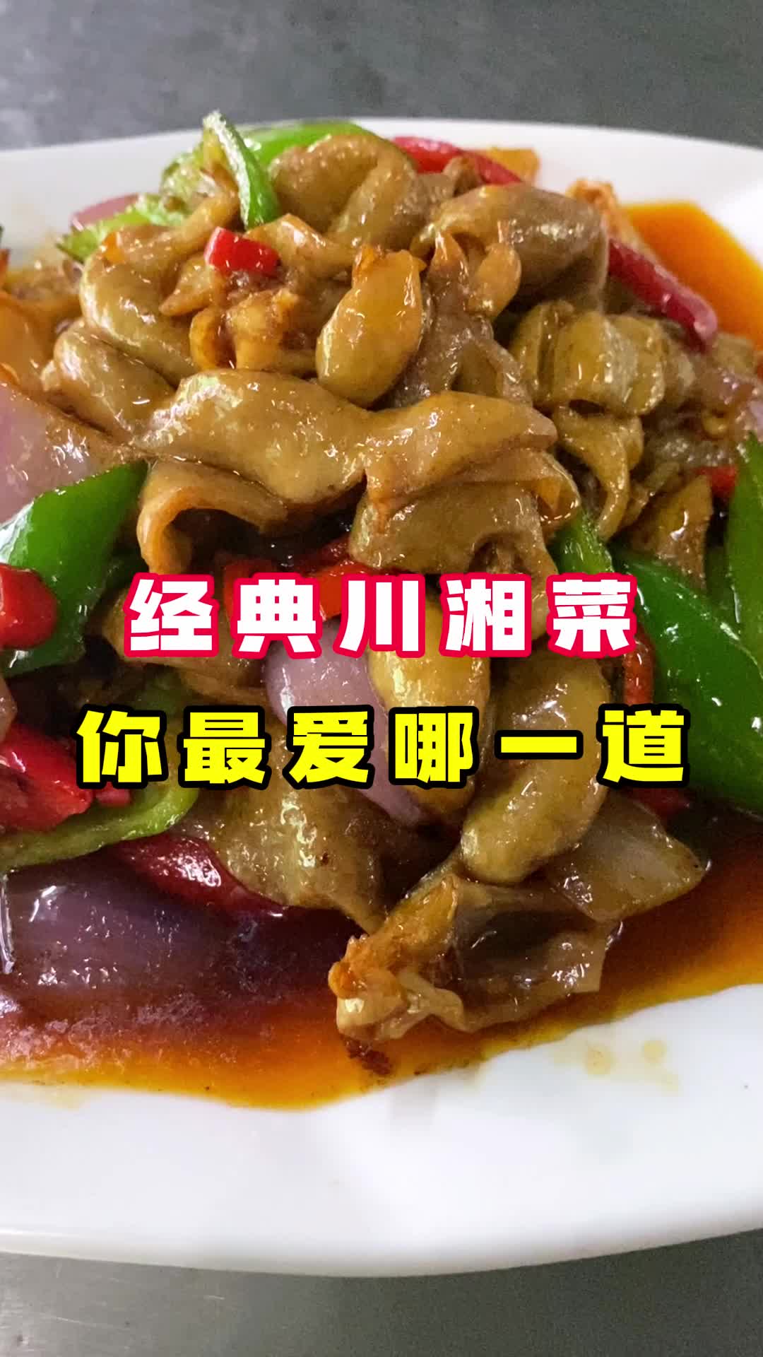 超下饭的川湘菜学习,做法精简,一菜一味哔哩哔哩bilibili