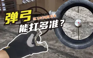 Download Video: 弹弓能打多准？新手练习时间2个月的效果。