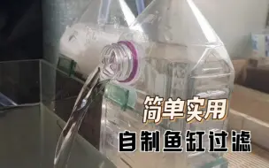 下载视频: 废弃水瓶做过滤，简单实用也不输美观。