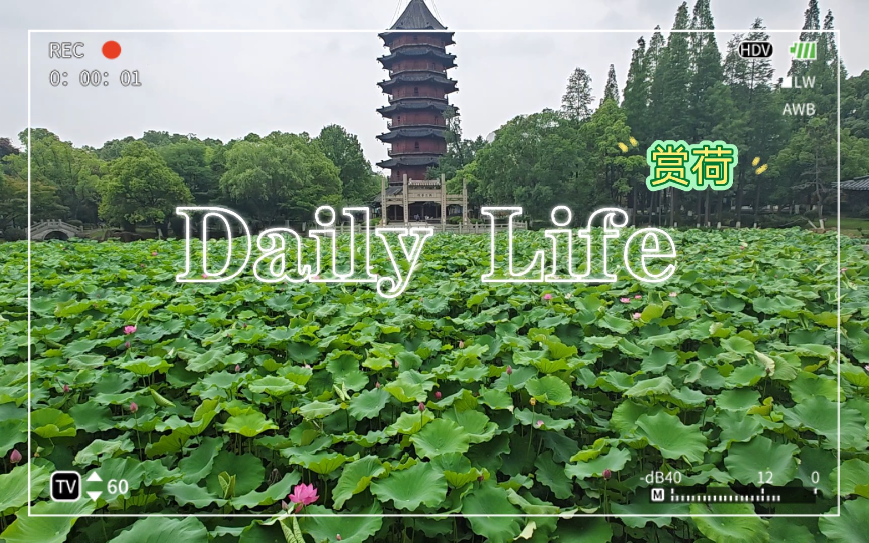 毕竟西湖六月中,风光不与四时同.接天莲叶无穷碧,映日荷花别样红. —————宋ⷦ褸‡里 《晓出净慈寺送林子方》哔哩哔哩bilibili