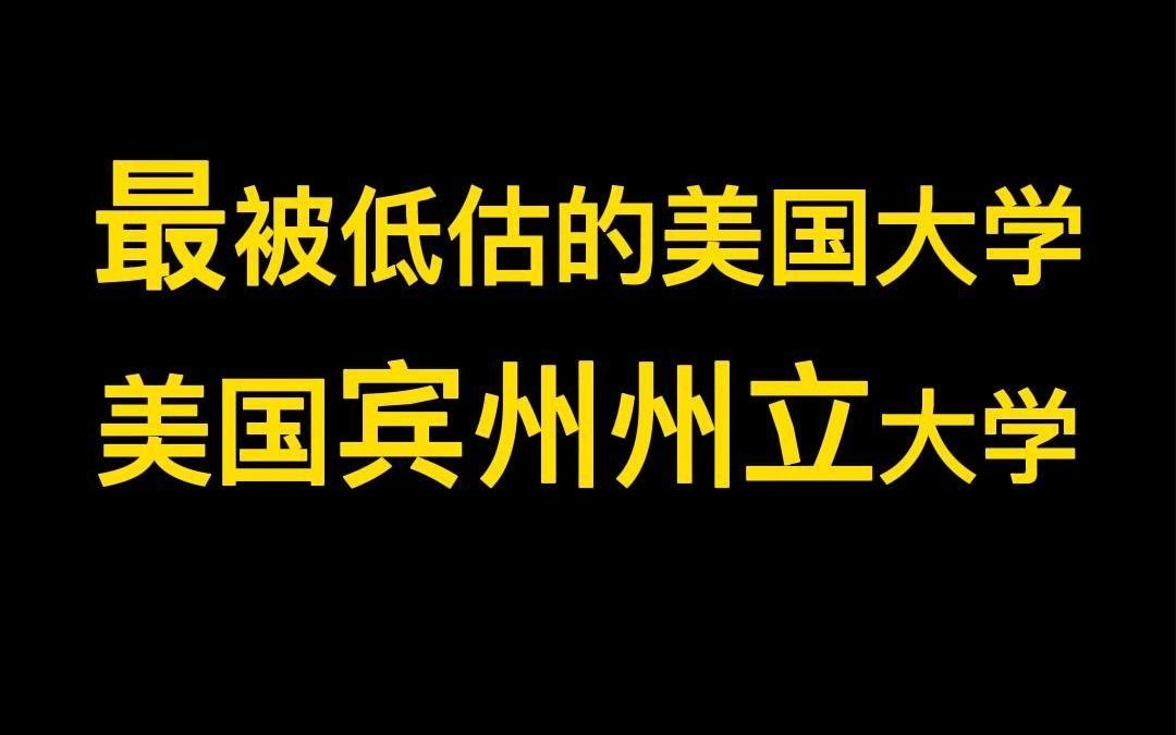 最被低估的美国大学—美国宾州州立大学哔哩哔哩bilibili