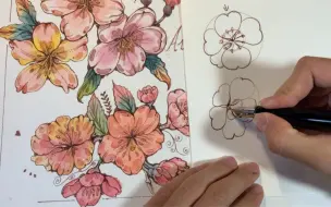 完整的樱花画法讲解 钢笔淡彩 钢笔速写