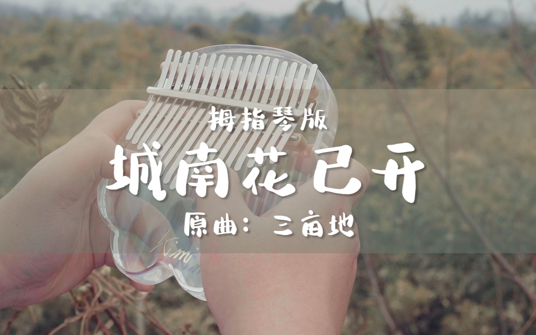 水晶拇指琴唯美纯音乐城南花已开卡林巴也能给你感动