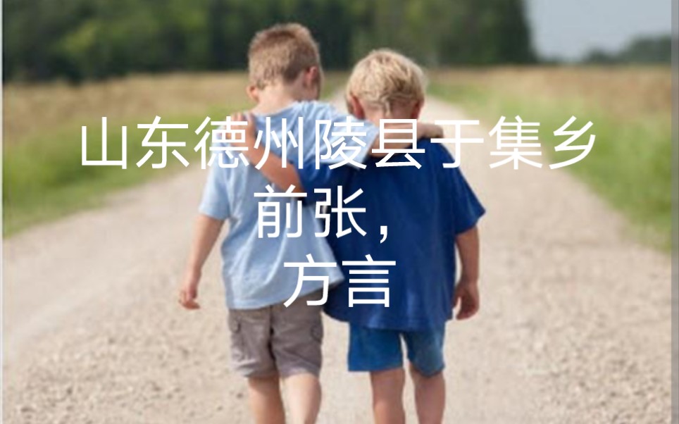 山东德州陵县于集乡前张,方言哔哩哔哩bilibili