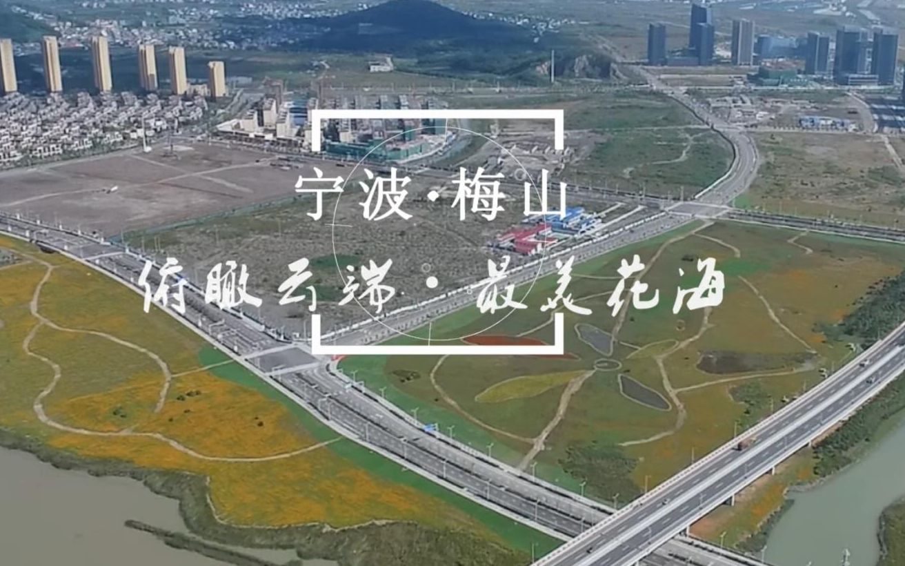 宁波·梅山 俯瞰云端·最美花海