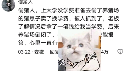 你的网名有什么特殊含义吗?哔哩哔哩bilibili