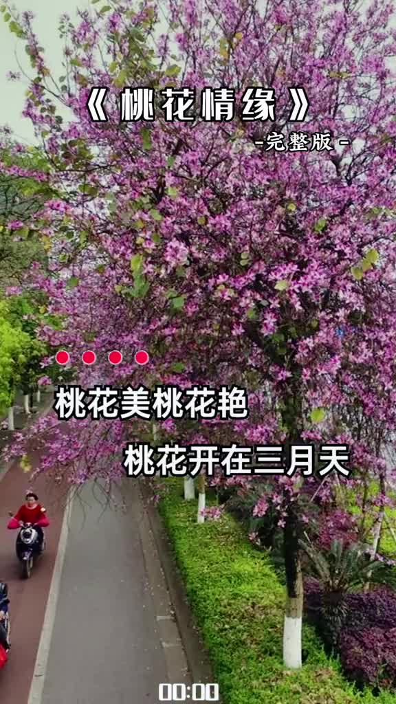 [图]好歌分享桃花情缘音乐花香醉在我心间感谢兄弟姐妹们的支持和陪伴