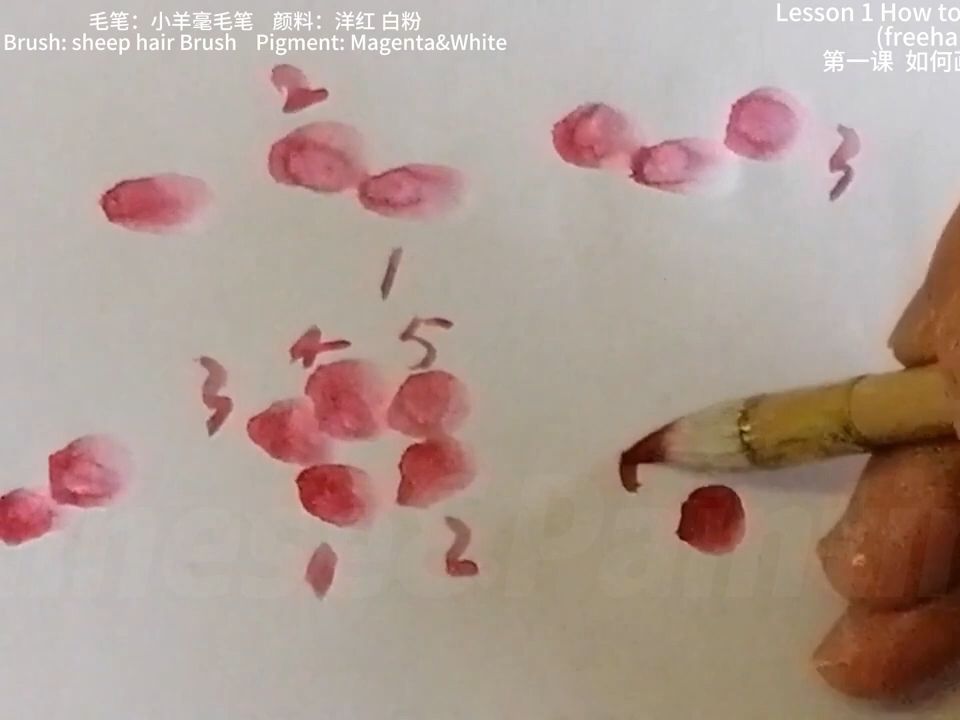 [图]国画教学合集_ 16.梅花_ how to paint plum blossom ‖Chinese Painting(2023)