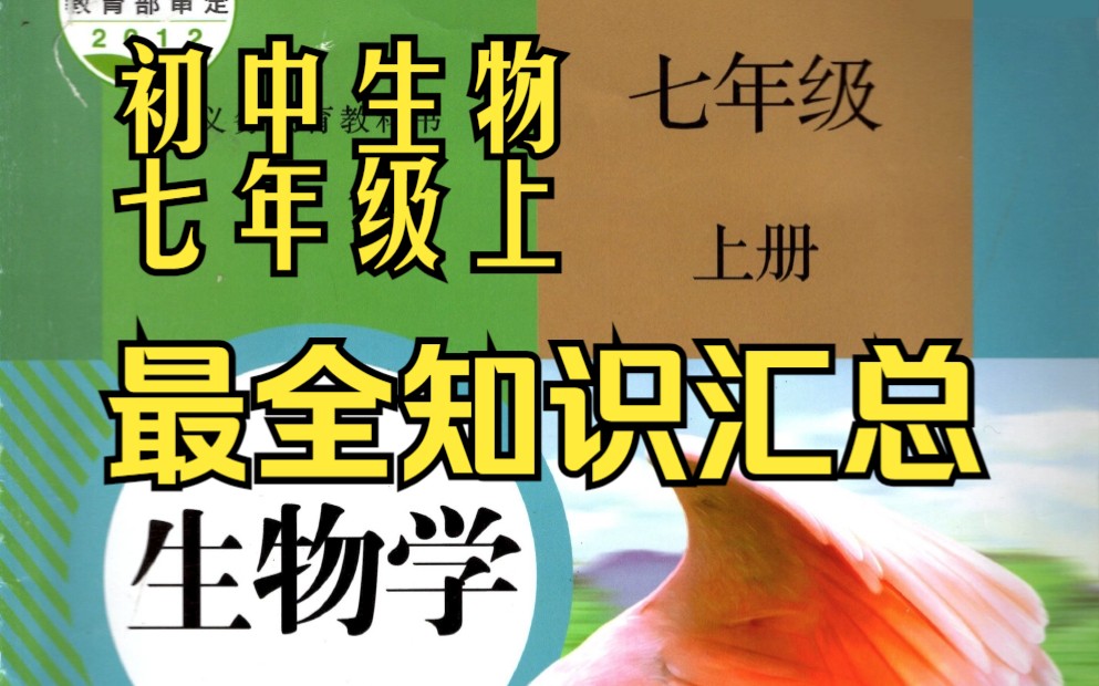 七年级上册生物 生物 重点 考点 内容 知识 七年级 上册 必考 汇总 初一哔哩哔哩bilibili