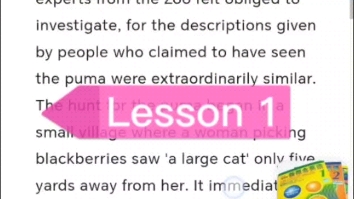 新概念英语第三册,Lesson 1:听+跟读+朗读,A puma at large#新概念英语#约十岁英语角哔哩哔哩bilibili