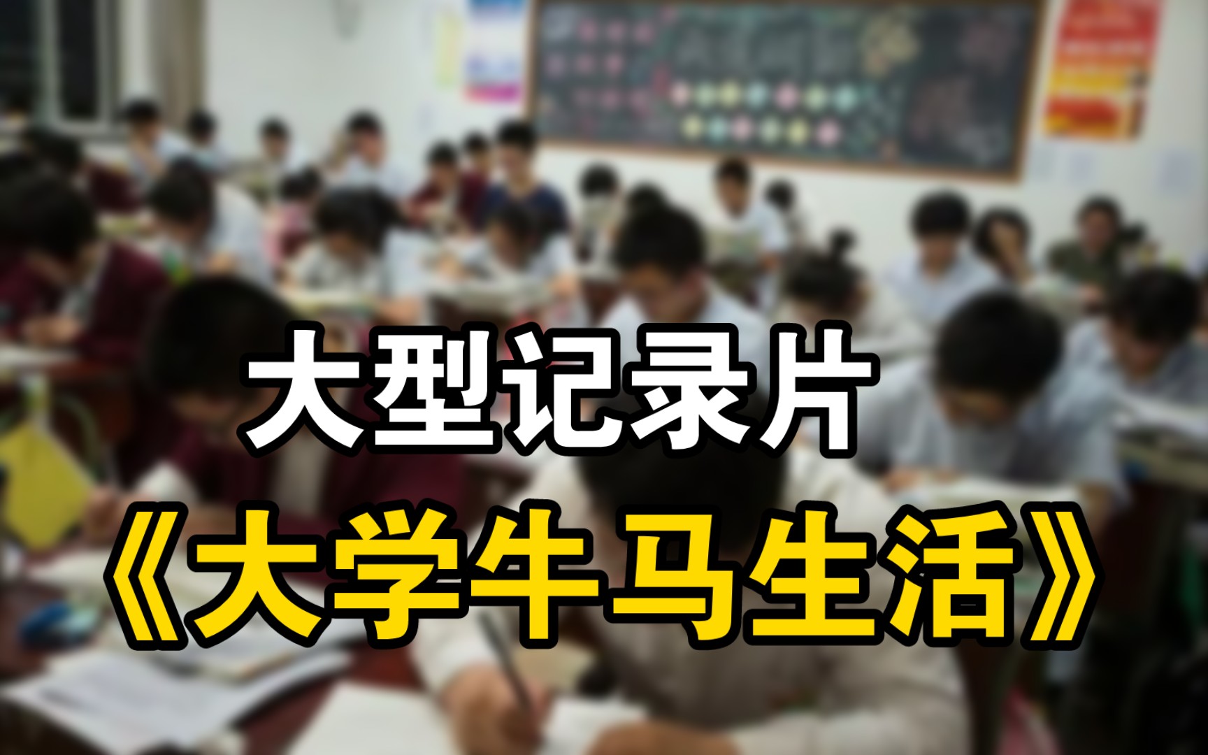 大型记录片《大学牛马生活》哔哩哔哩bilibili