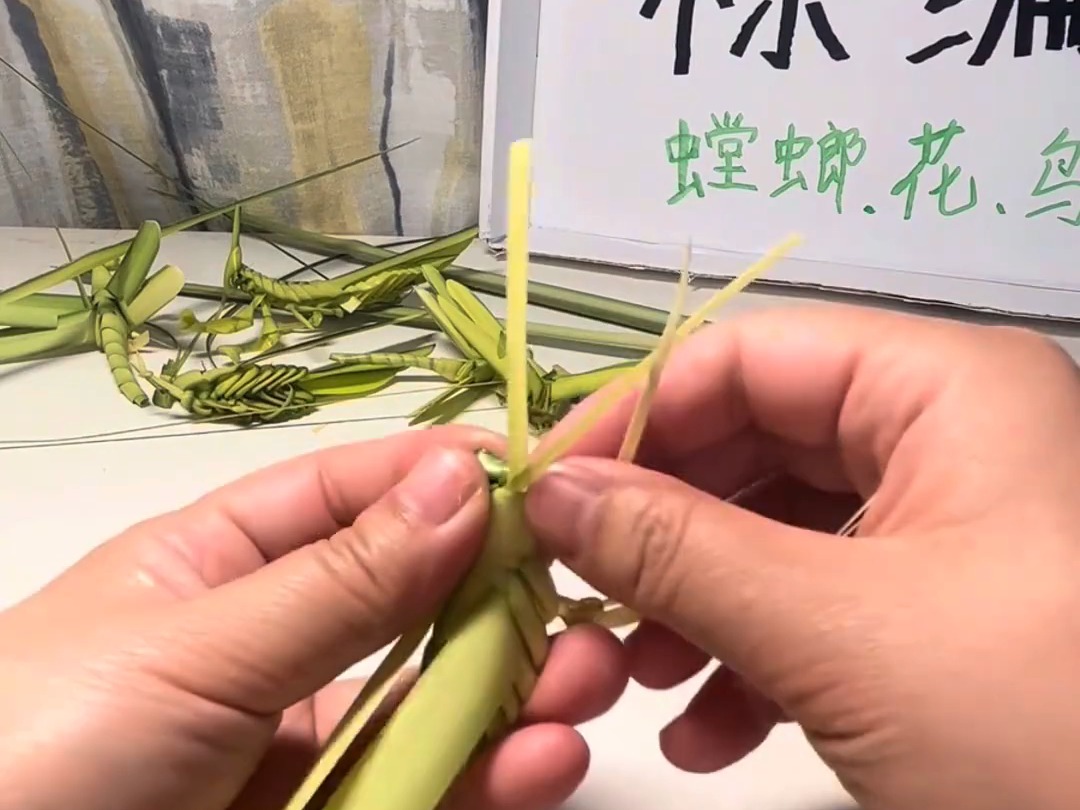 超详细的棕编蚂蚱教程,一起学起来吧