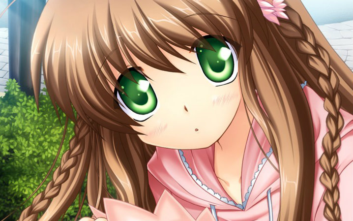 【rewrite】小鸟全剧情(剧透慎入),游戏录制