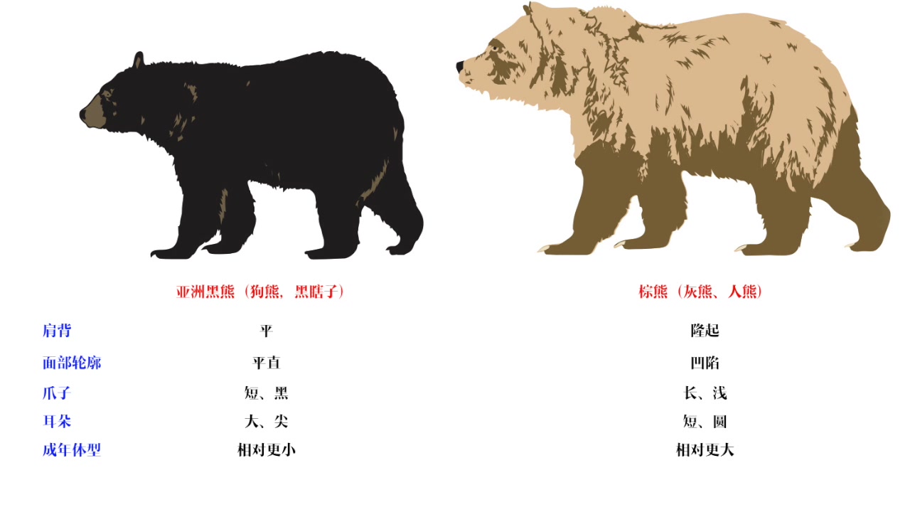 [图]01【鬼吹灯之黄皮子坟】90%的人不懂的剧中知识