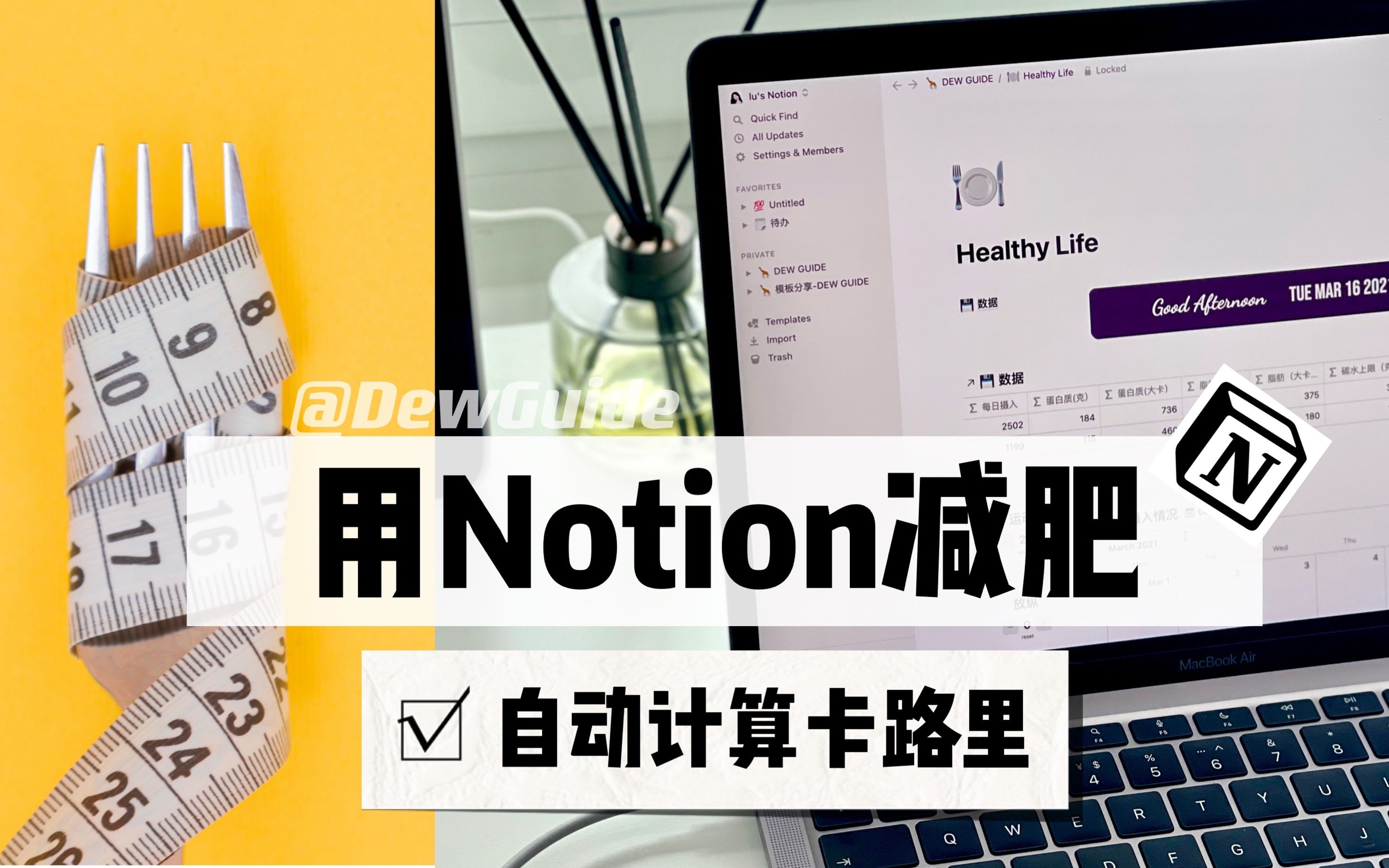 【Notion】用Notion减肥,自动计算卡路里|科学饮食助力工具哔哩哔哩bilibili