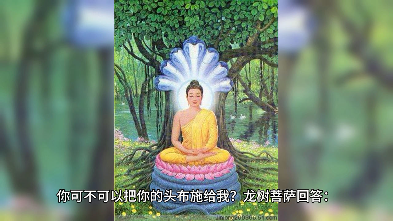 一根稻草才可将龙树菩萨杀死,究竟是何因缘?哔哩哔哩bilibili