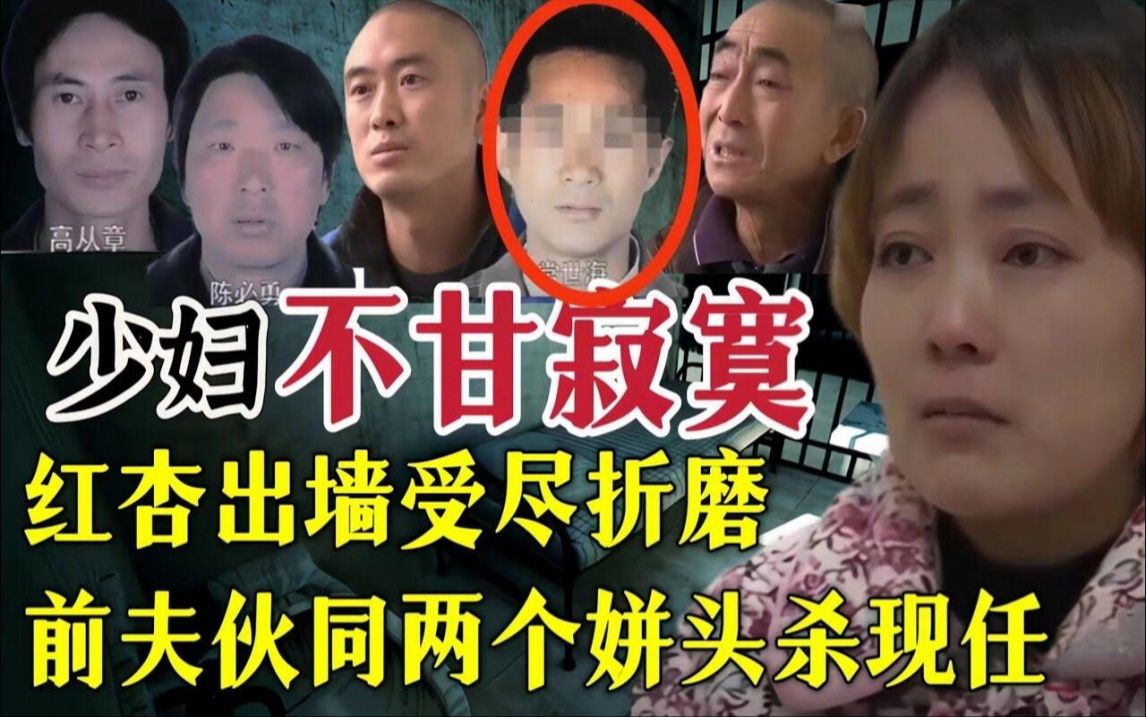 少妇不甘寂寞红杏出墙受尽折磨、伙同前夫和两个情人杀现任哔哩哔哩bilibili