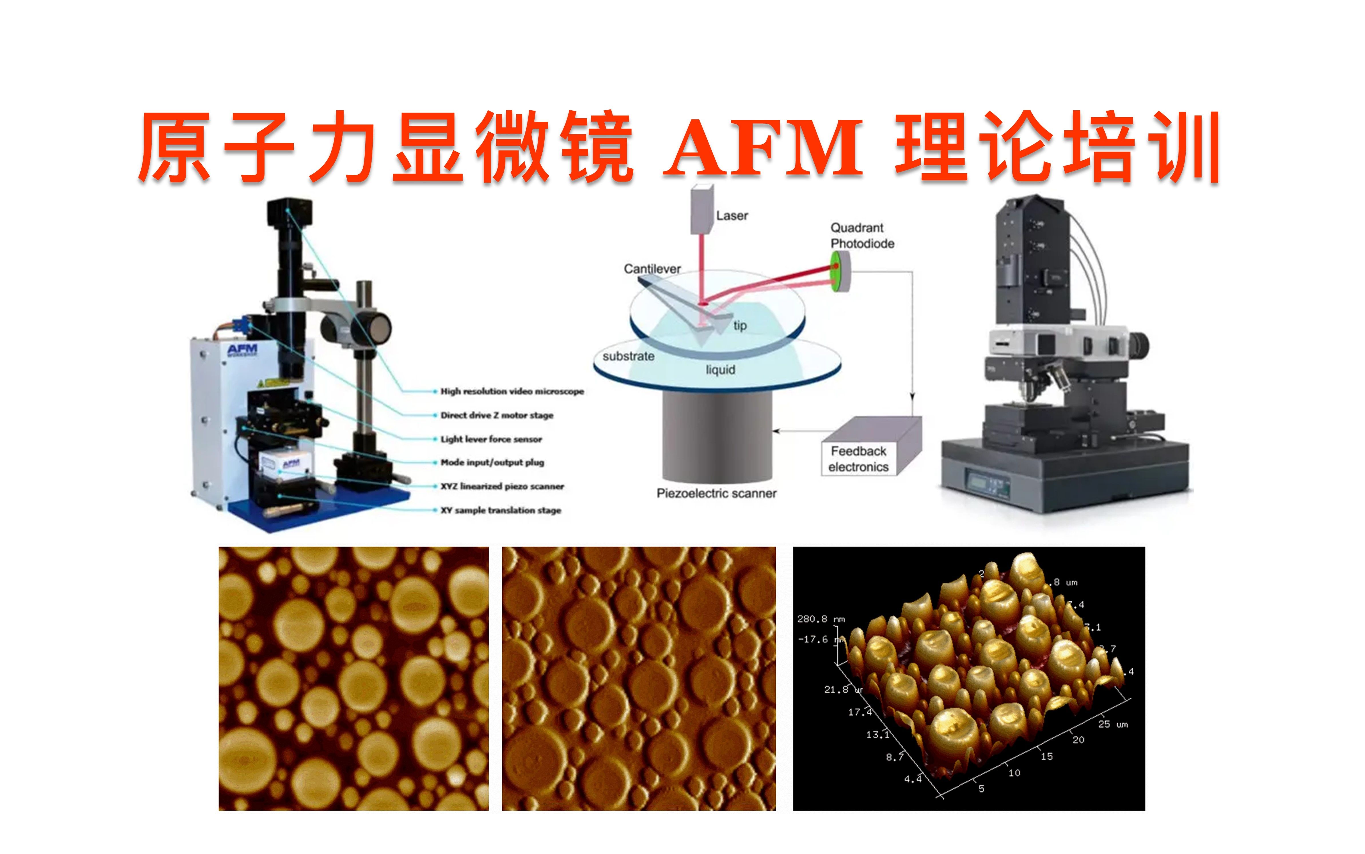 原子力显微镜 afm 理论培训