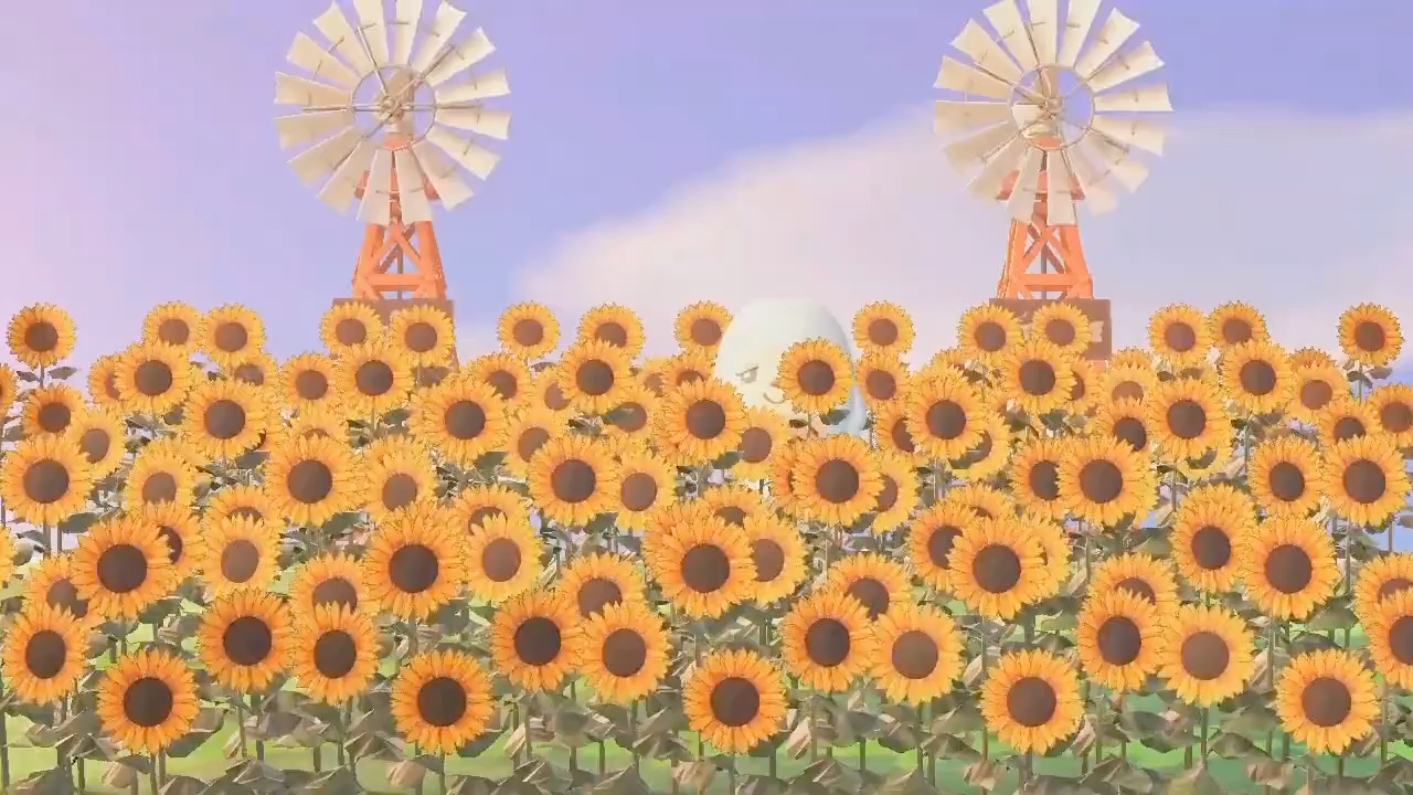 动森美丽的向日葵_哔哩哔哩bilibili