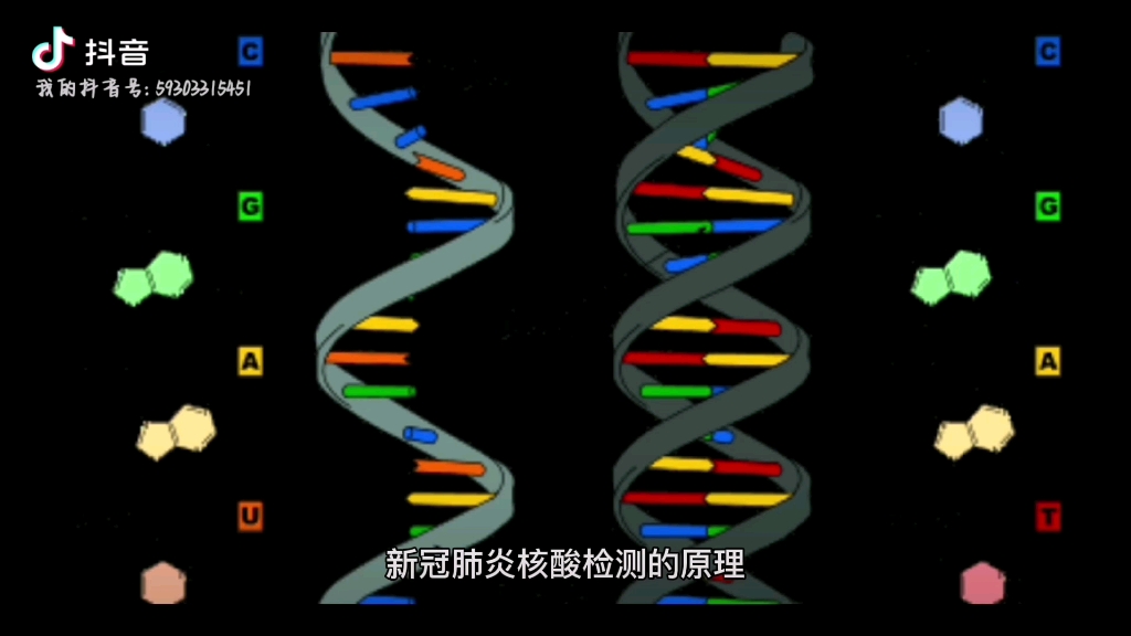 [图]新冠病毒 核酸检测