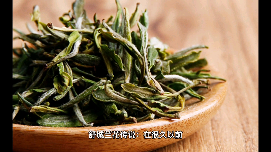 舒城兰花_哔哩哔哩_bilibili