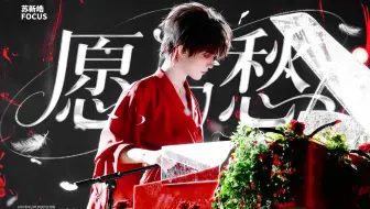 【苏新皓】《愿与愁》钢琴弹唱 一周年演唱会DAY2丨4K直拍