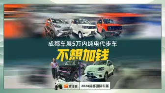 Download Video: 报废补贴到手2万，最低成本入手纯电代步车，该选谁？