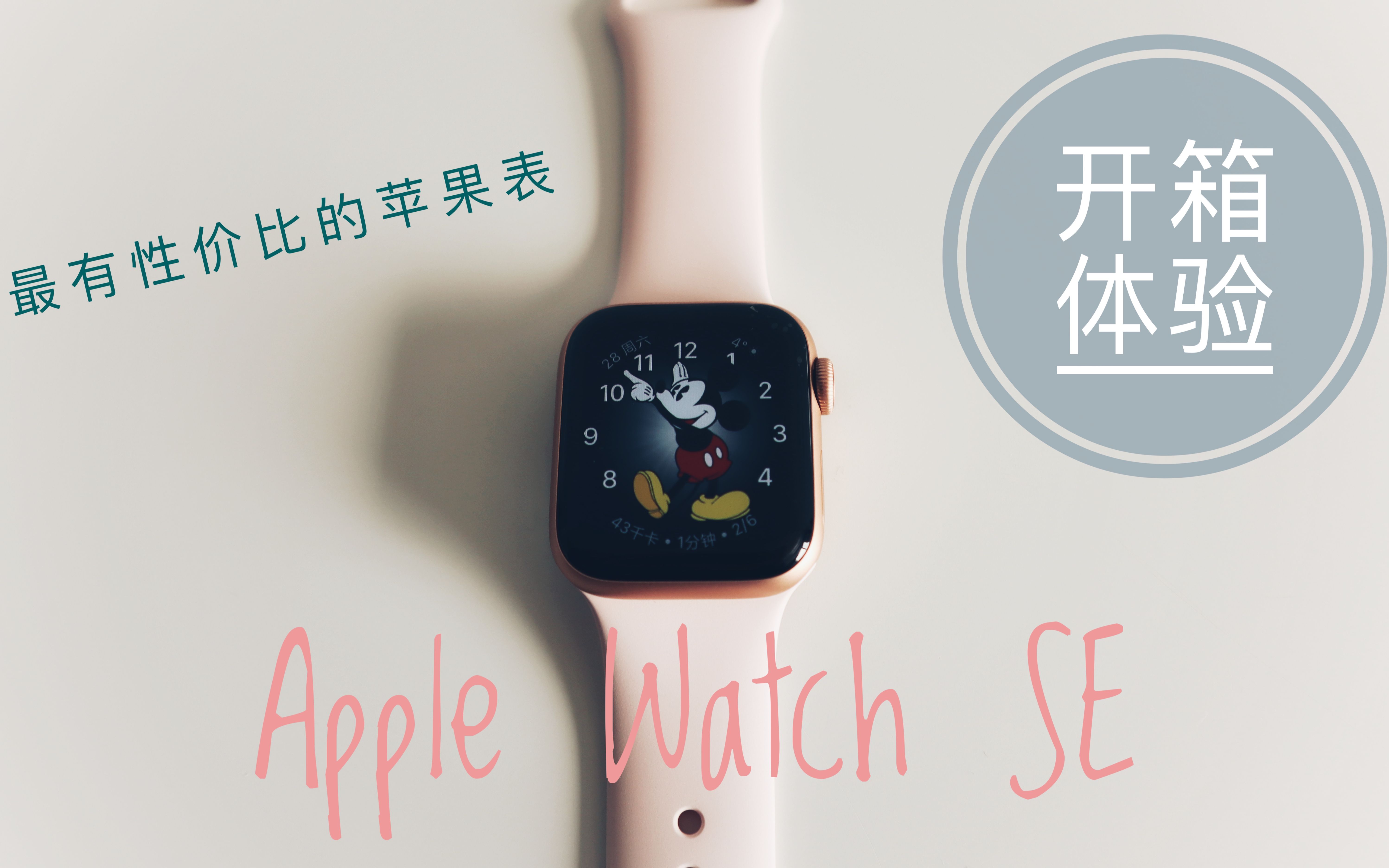 【苹果表】最具性价比的苹果表,Apple Watch SE开箱体验!哔哩哔哩bilibili