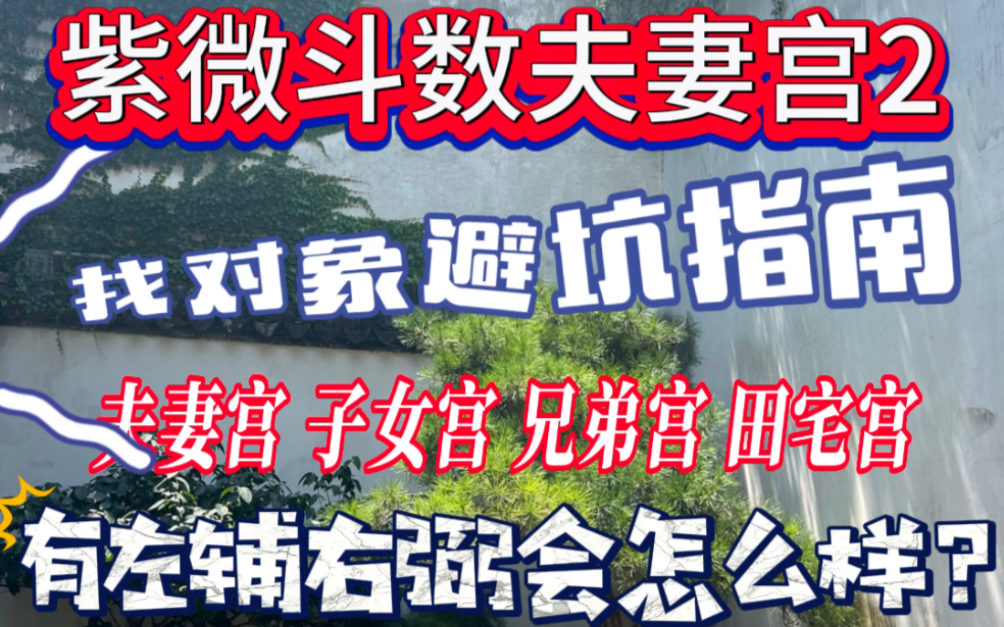 紫微斗数夫妻宫2.找对象避坑指南,夫妻宫子女宫兄弟宫,田宅宫有左辅右弼会怎么样?,左辅是代表多,右弼代表转换,左辅右弼同宫就是代表反反复复...