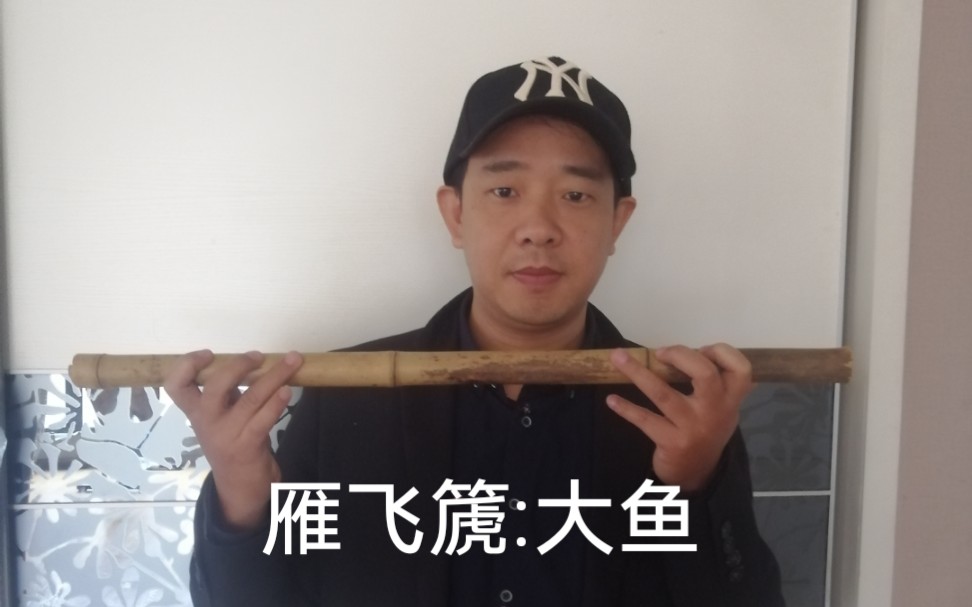 a调雁飞篪大鱼这支音调得很准了音色也是我想要的带着丝丝和涩涩的