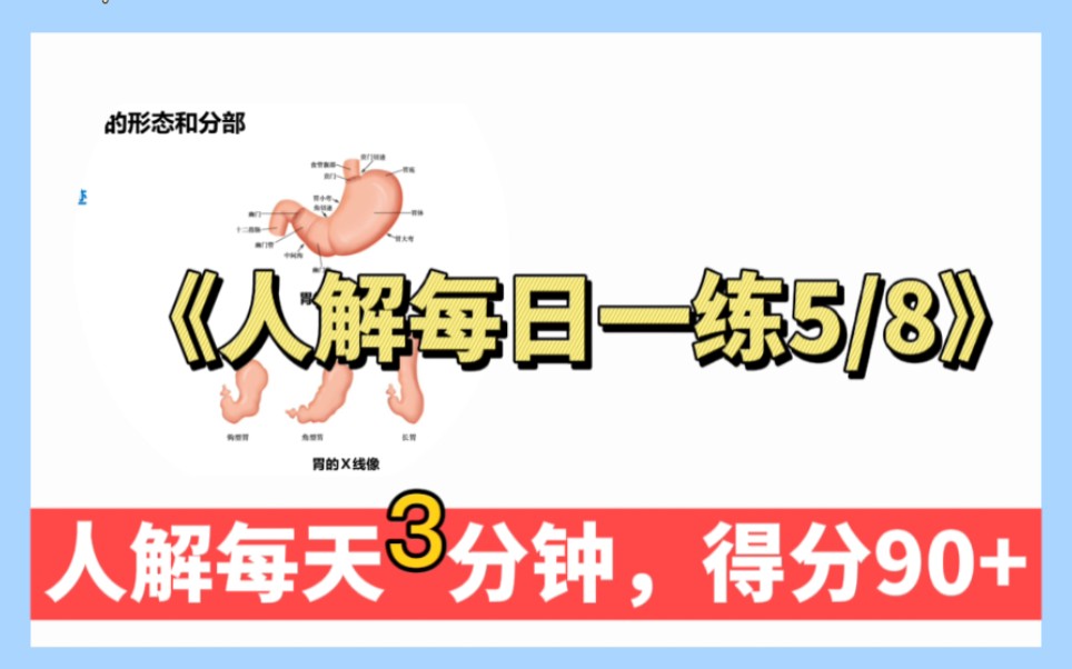 [图]《系统解剖专升本刷题冲刺》【每日一练专升本系统解剖5/8人体解剖】【人体解剖复习冲刺核心考点冲刺背诵刷题每日一练打卡期末考试系统解剖】