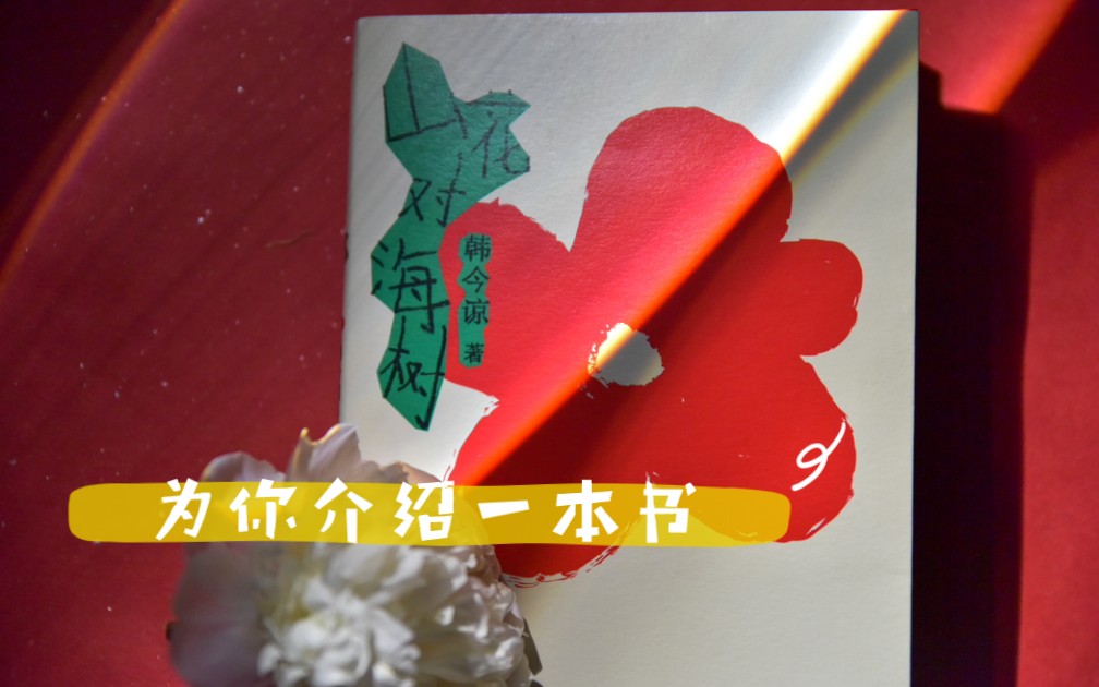 【为你介绍一本书】山花对海树,赤日对苍穹.这是一份晚来的世界读书日礼物.哔哩哔哩bilibili