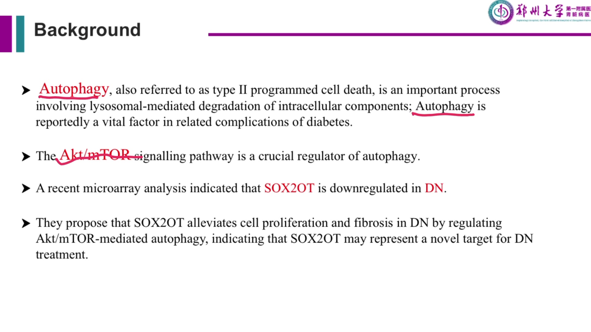 LncRNA SOX2OT通过Akt/mTOR介导的自噬减轻糖尿病肾病肾小球系膜细胞增殖和纤维化哔哩哔哩bilibili