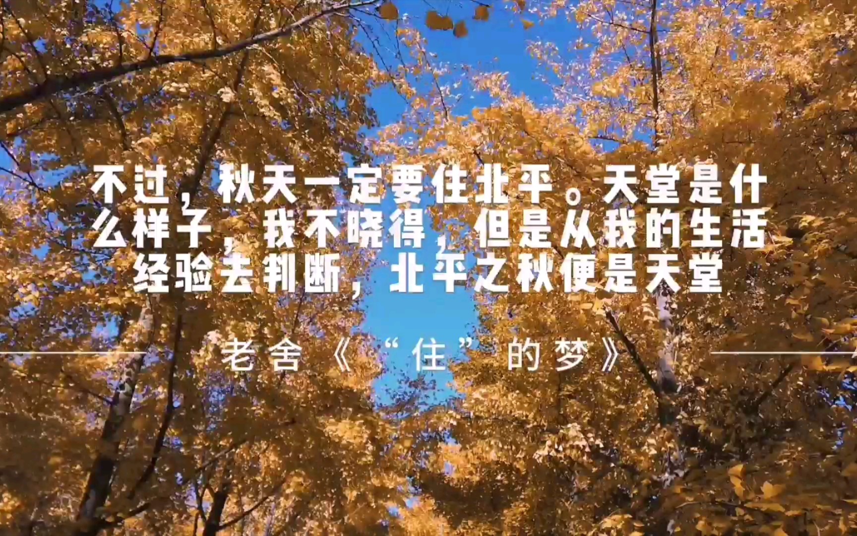 有关秋天的那些文字哔哩哔哩bilibili