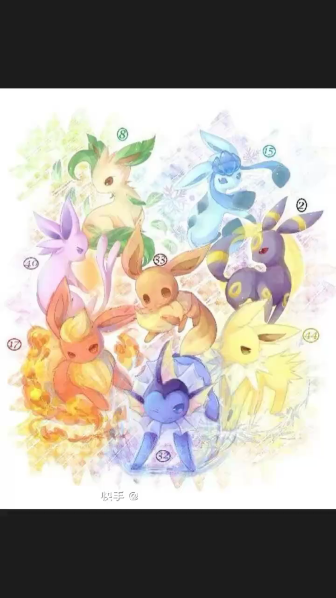 伊布家族好可爱