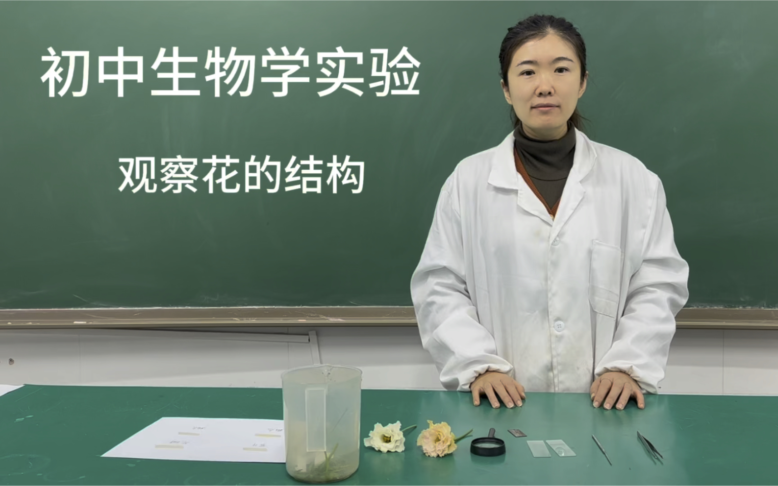 初中生物学实验 观察花的结构哔哩哔哩bilibili