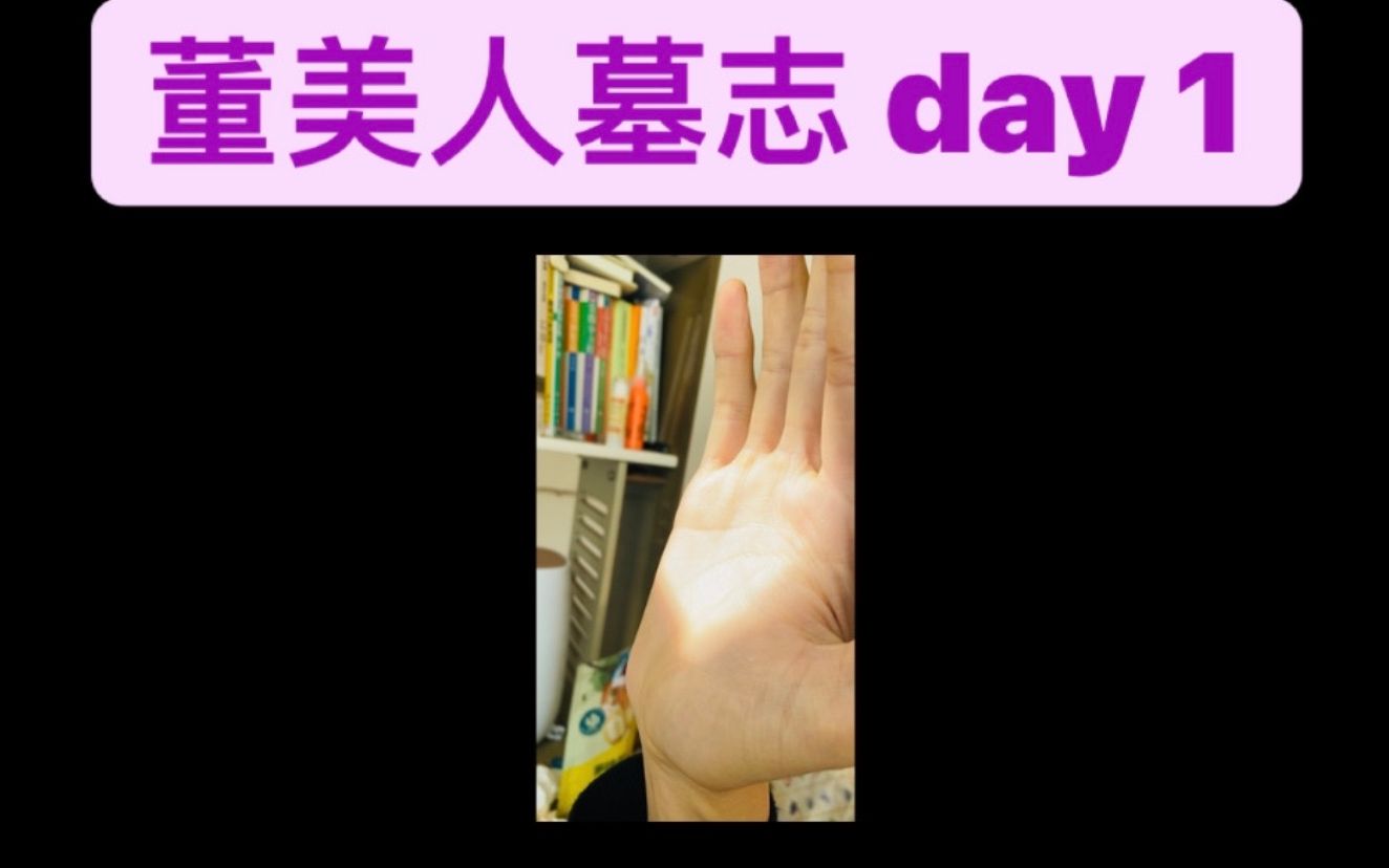 [图]董美人墓志 day01