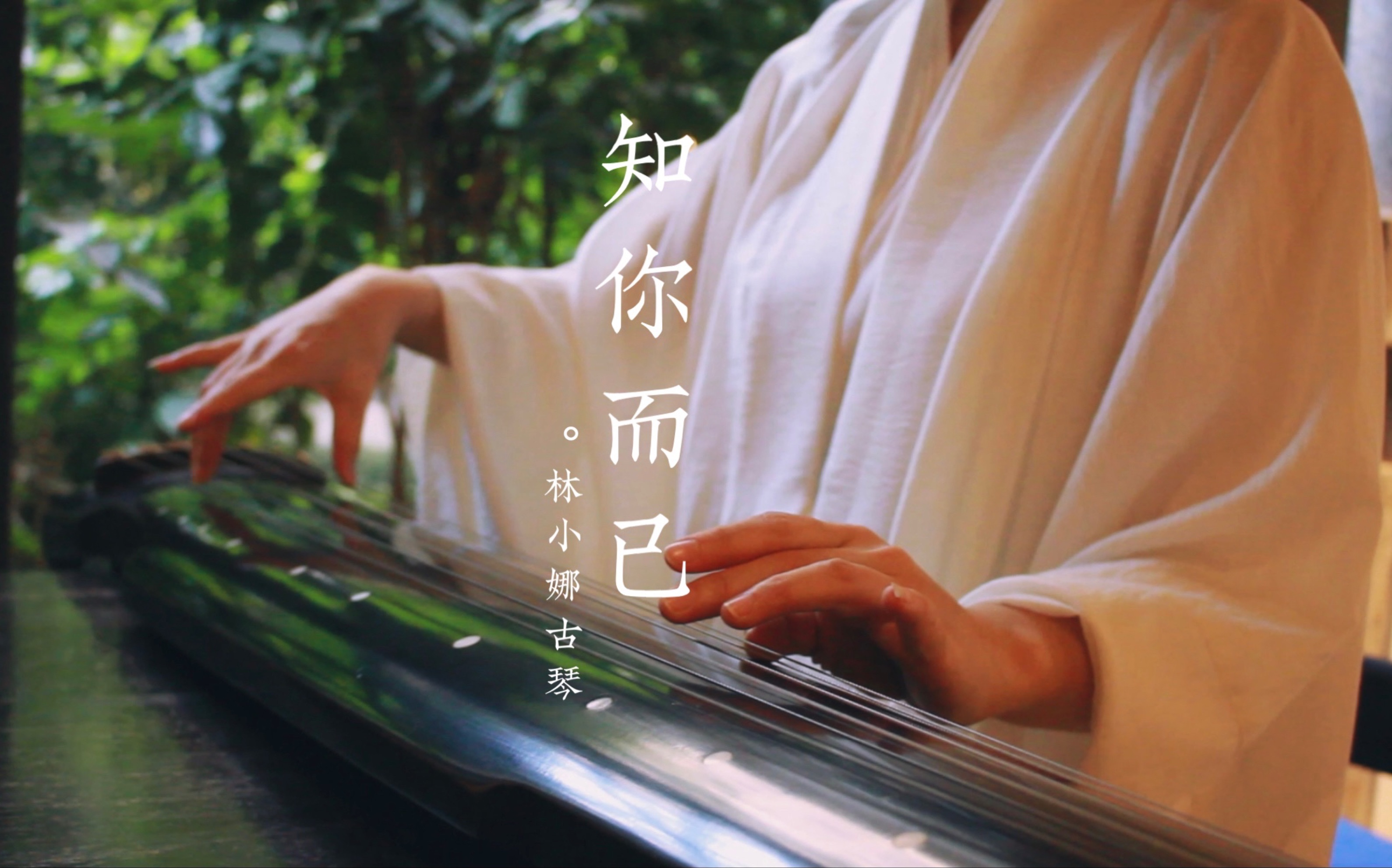 琴箫和鸣,意境太美了!