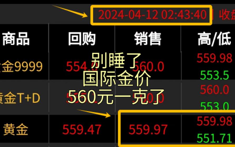 别睡了国际金价560元一克了哔哩哔哩bilibili