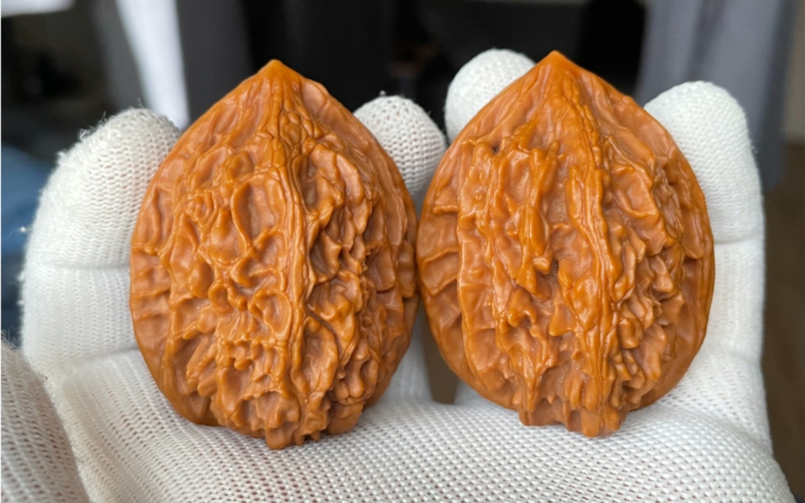 【kuma的核桃】鸡心