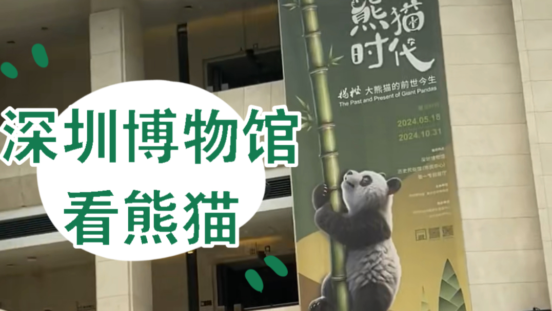 深圳博物馆全部免预约了!还延长了时间!