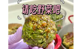 Download Video: 质疑王宝钏成为王宝钏！脆皮大学生严禁自己去挖野菜！这口野味不是非吃不可！