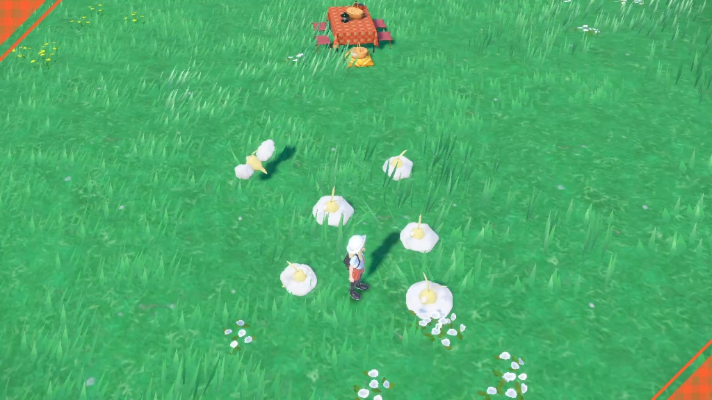 闪光青绵鸟寝室里最活泼的小朋友终于睡下了!