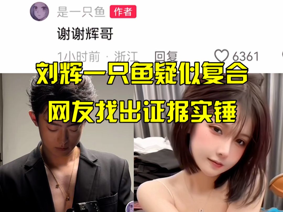刘辉一只鱼疑似复合,网友找出证据实锤